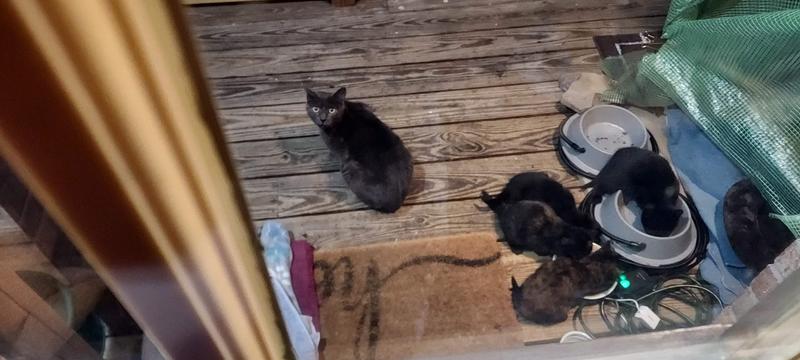 The gang's all here.