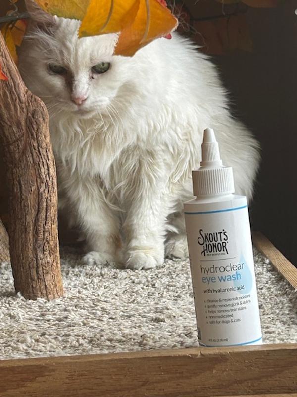 Rolo after treatment with Skout's Honor HydroClear Eye Wash