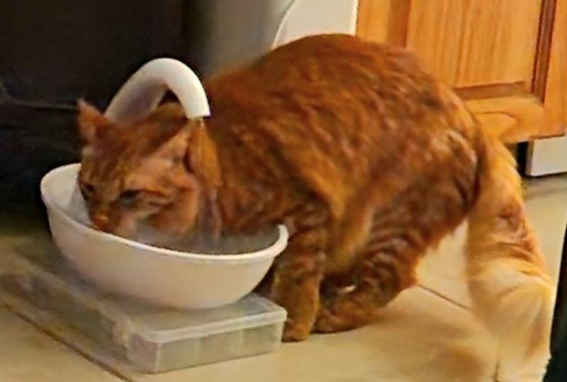 PIONEER PET Swan Cat Drinking Fountain, White