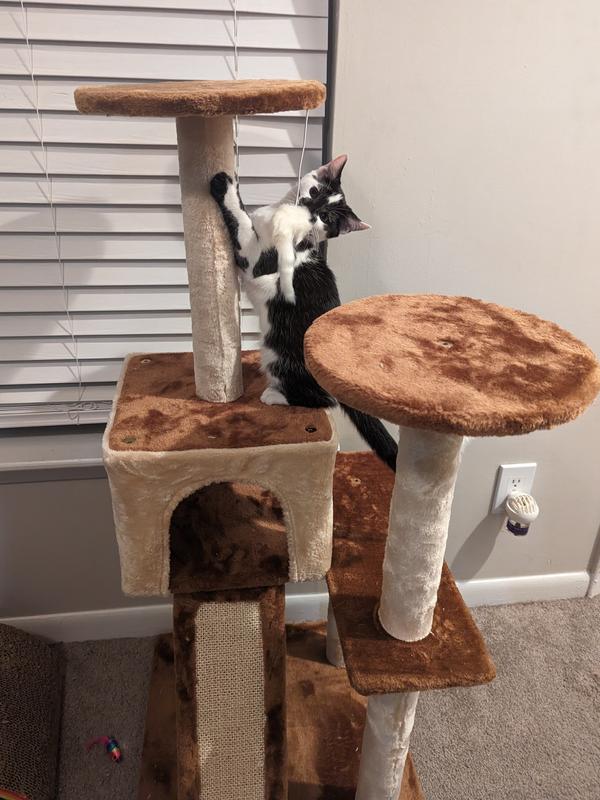 Temporarily Unavailable - GO PET CLUB 44-in Faux Fur Cat Tree & Condo ...