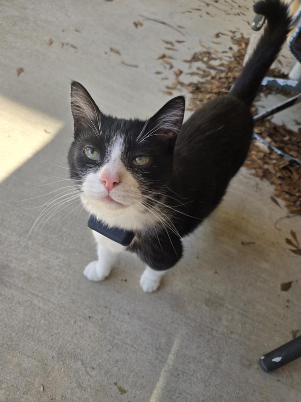 Baby Girl after application of foam