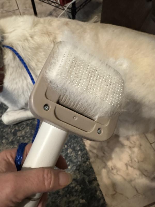 Lots of hair coming off.