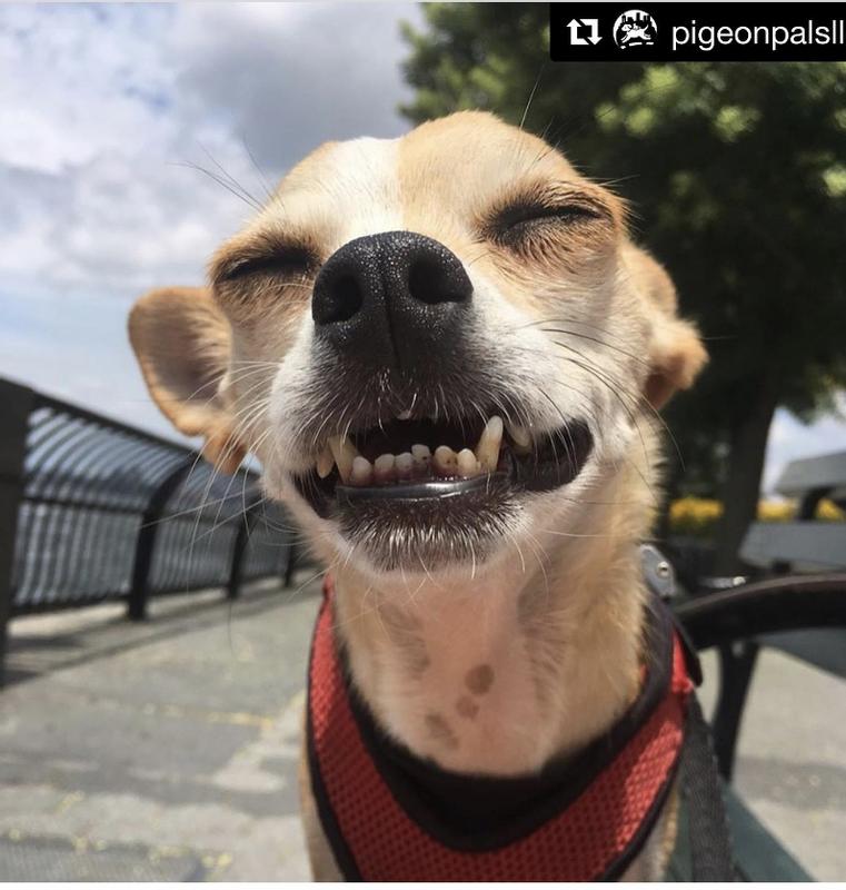 Livin' la vida loca on the glorious waterfront