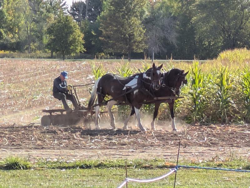 Mae liked her SynChill.