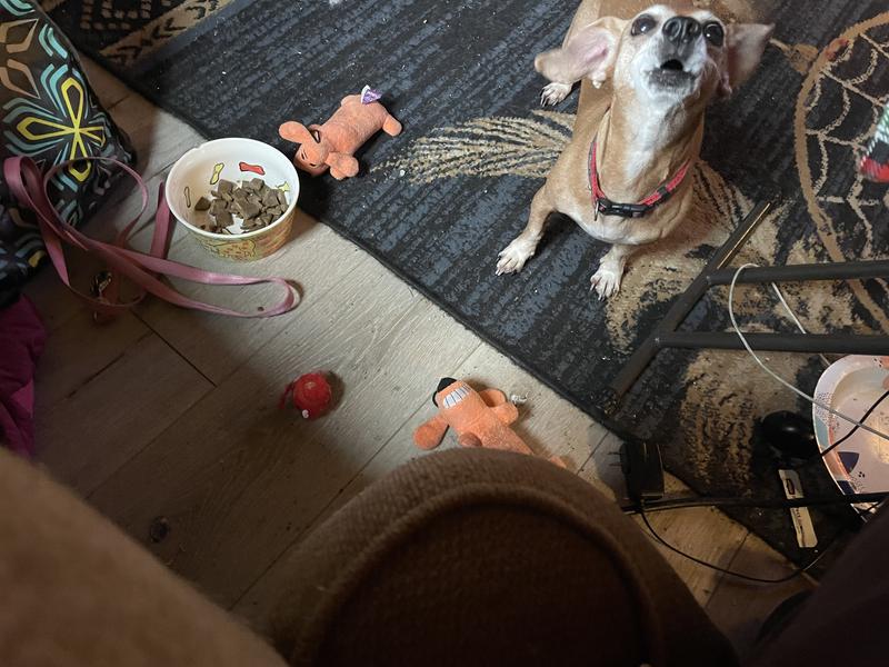 Thanking me for food!