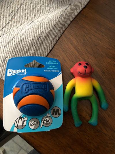 Li'l Pals 4 Latex Monkey Dog Toy