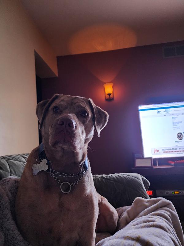 buddy our overnight visitor says don't forget me