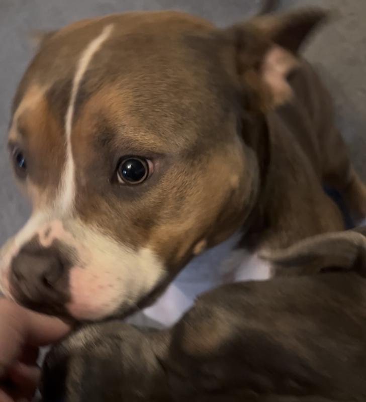 Barely able to contain her excitement