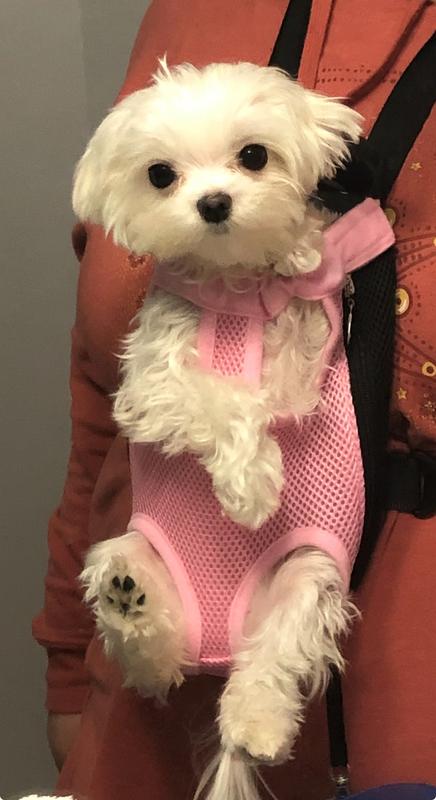 My little Mia is so tiny! She needs everything to be in tiny little bitesize pieces so she can chew it easily!