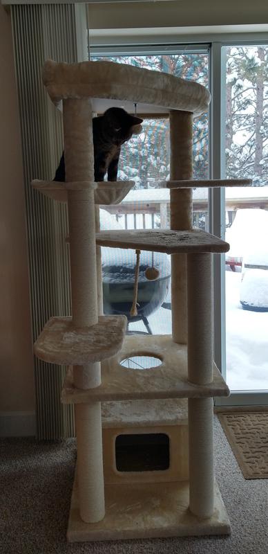 I put the cat tree in front of a standard sliding glass door that is 75" high.