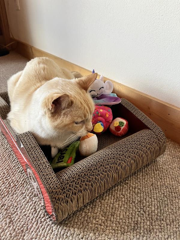 1980年代 Fat So・D.D. Tabby・Chug Bug 3点セット NONOPETS Sports Car Scratcher Lounge Cat Bed, Black - Chewy.com