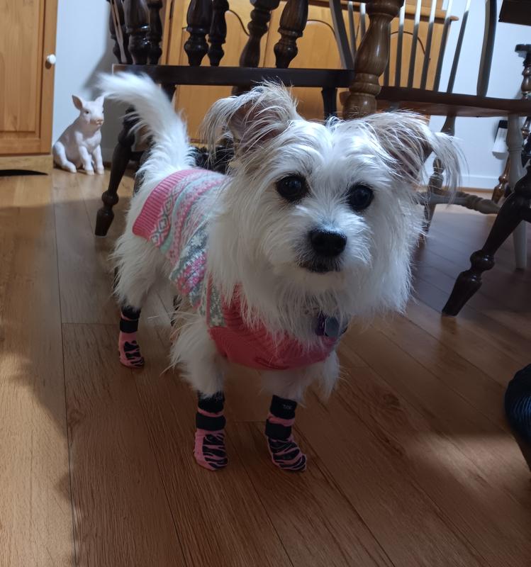 My pink pair of Tiger Toes!