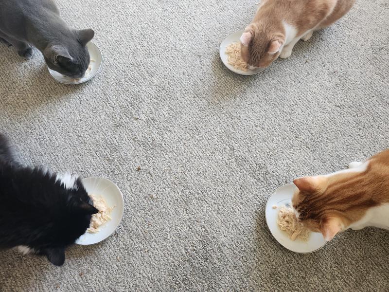 They love it!