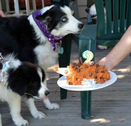 Hedgehog birthday cake/party
