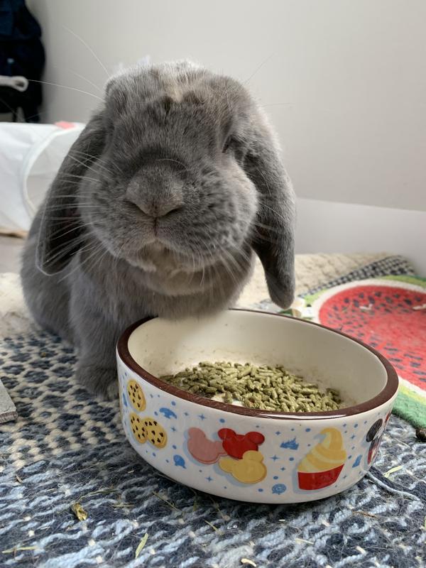 Breakfast of champions!