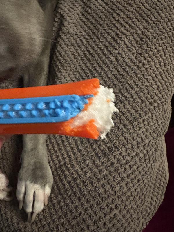 Not what was expected based on Chewy photos