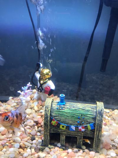 PENN-PLAX Action Air Diver with Hose Aerating Aquarium
