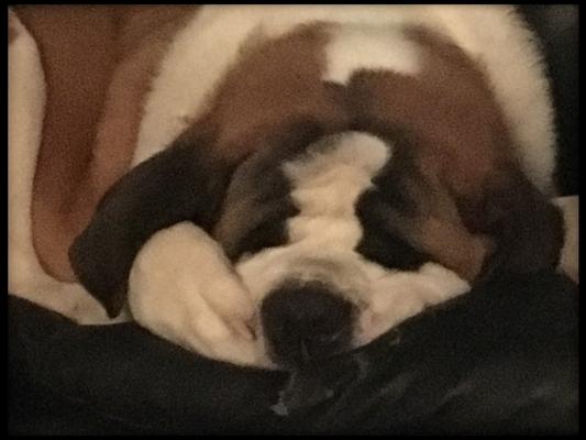 Adorable Big Boy!