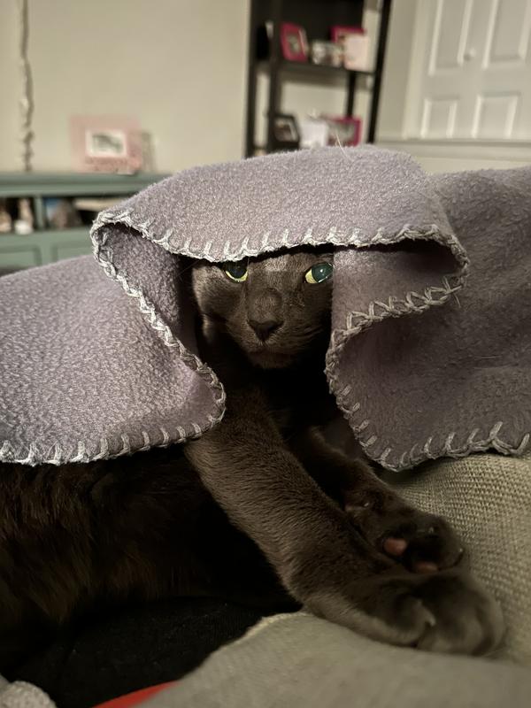 No boogers, happy girl