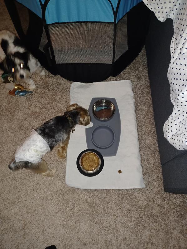 STRELLALAB Anti Itch Allergy Relief Omega Dog Chews, 120 count