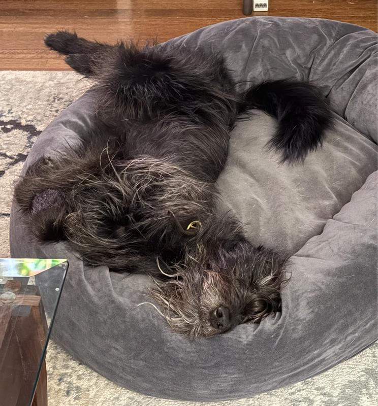 perfect for all sleepies