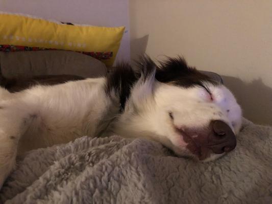 I'm dreaming about dinner time