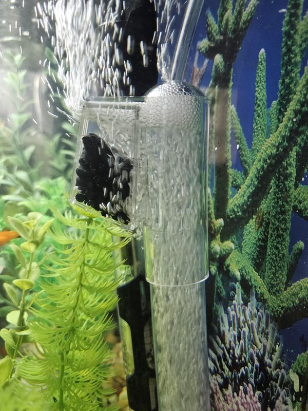 New uplift columns bubbling merrily