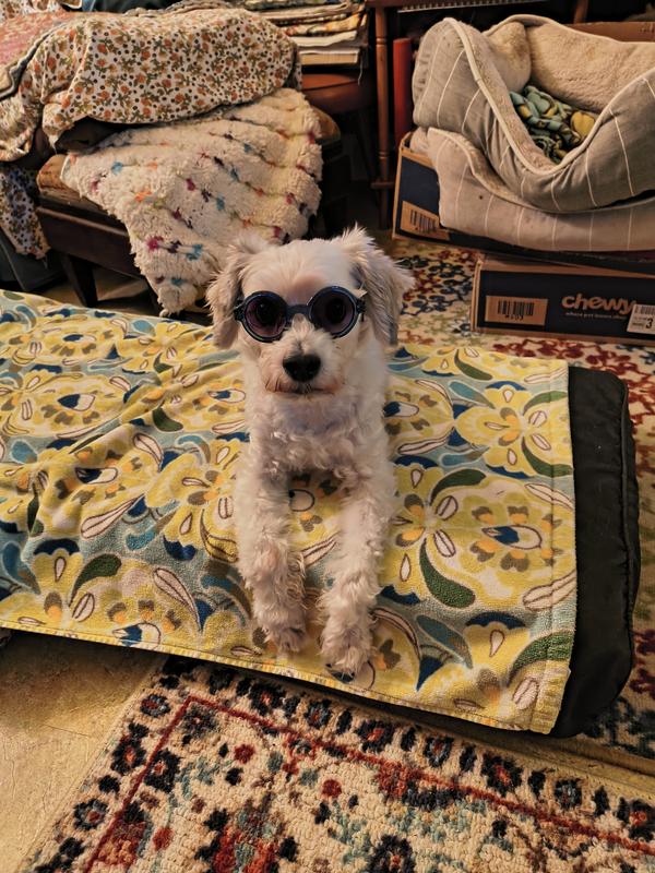 He's a happy puppy now!!