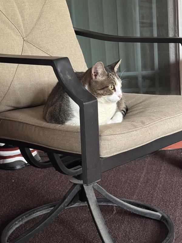 She is one picky cat and she lives here rent free!