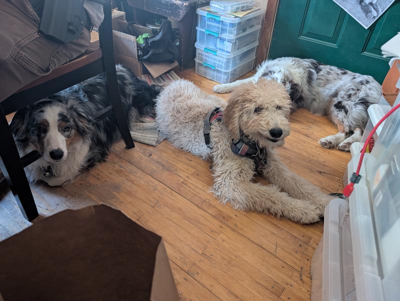 Granpupper when she was lil younger visiting her cousins