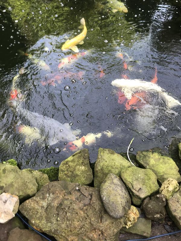 Some 20 year old babies and younger jewels