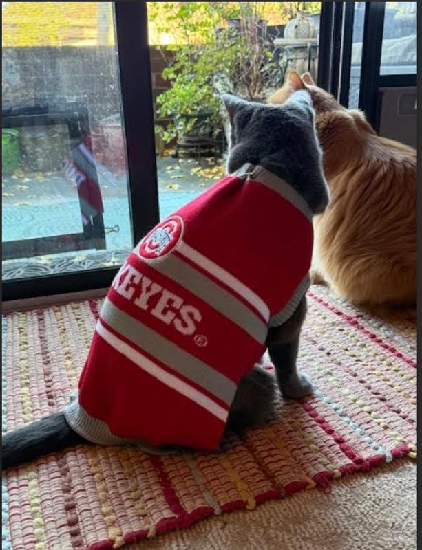 Cutest little buckeye