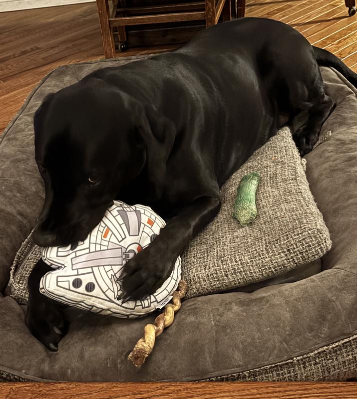 No chance for Han to escape!