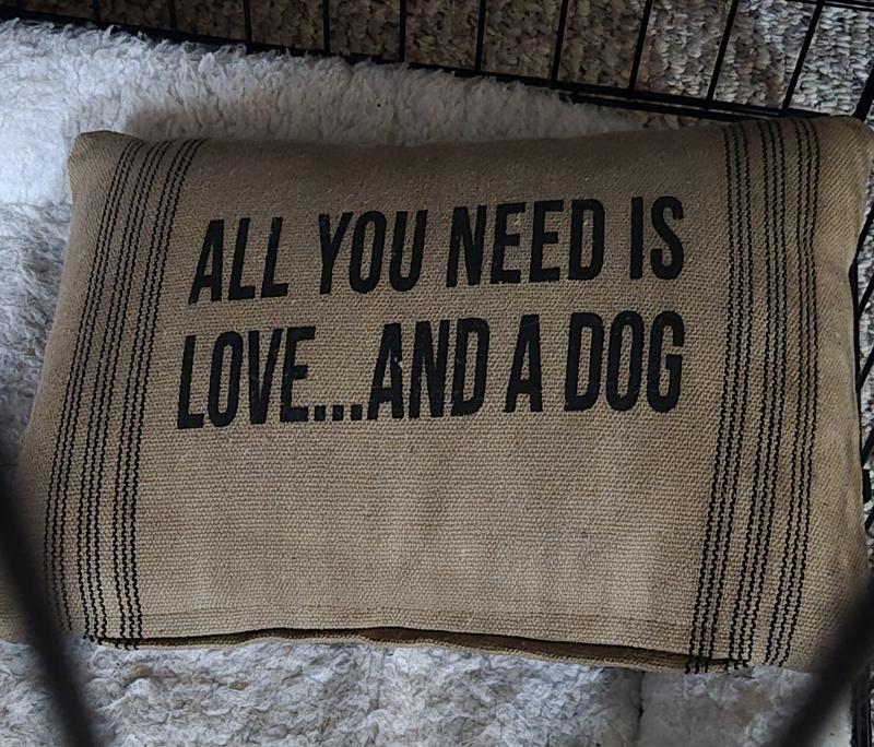 KodaBar's (actually KodaBear but the e is silent) isn't in the picture, he's getting a belly rub from the postal person