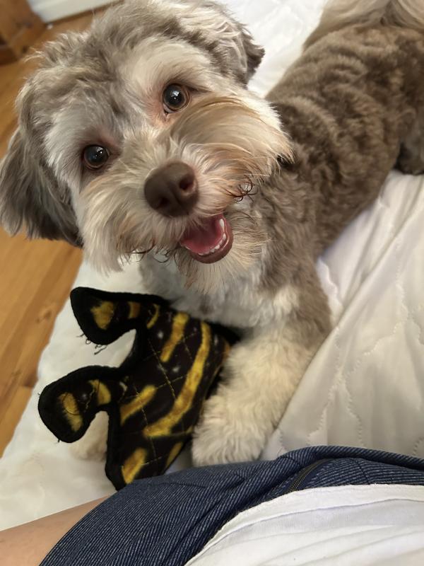 Tuffy Jr Phrog a hit.