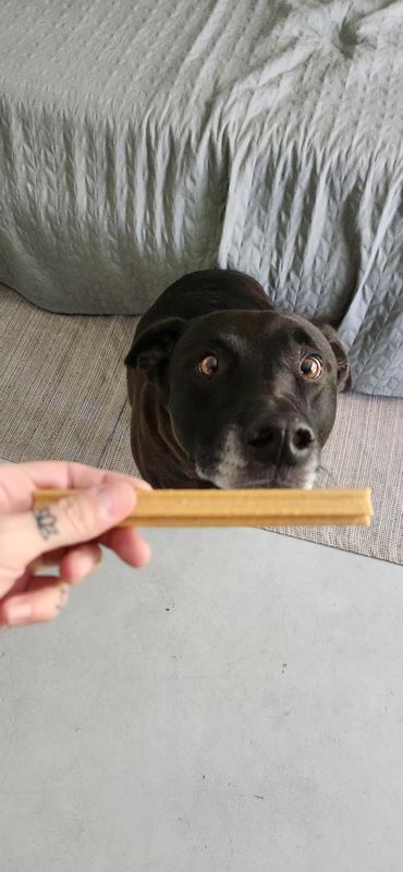 Passed the sniff test