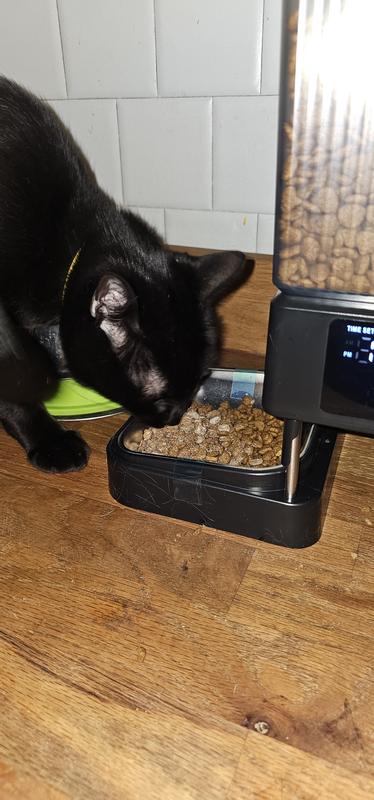Transferred some powdered kibbles to another bowl to keep the peace