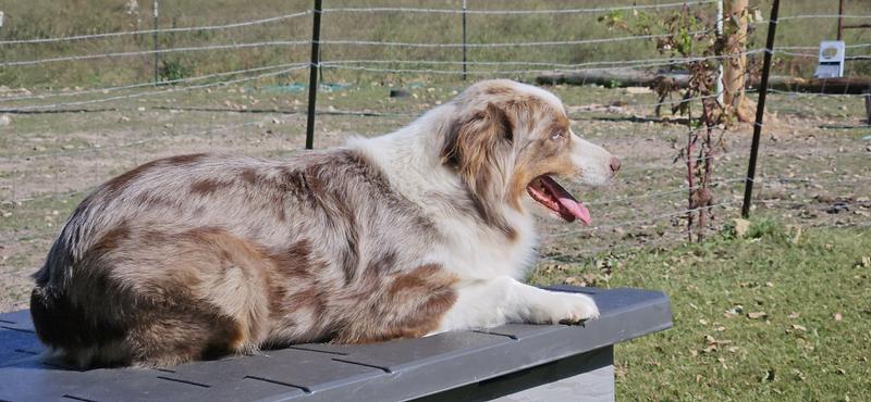 Chilling on the top!