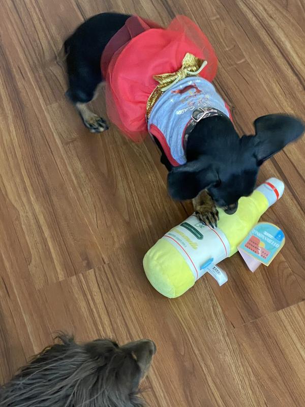 Lorelei loves carrying her new Lemonsmello toy around!