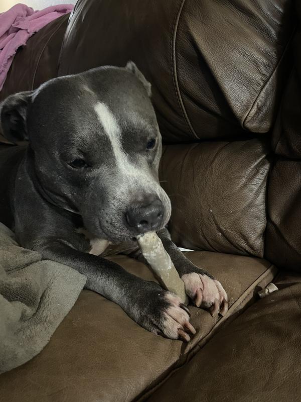 PRIME BONES Natural Large Chew Stick with Wild Venison Dog Treats, 6