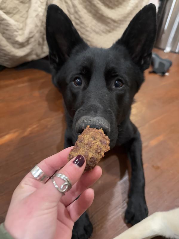 my picky eater was actually interested!