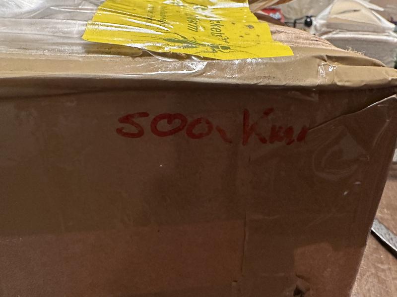 500 Mealworms I ordered!✅