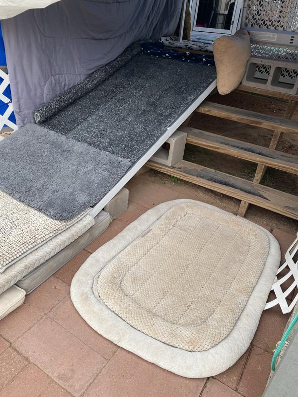 Outside our porch deck in the mountains.