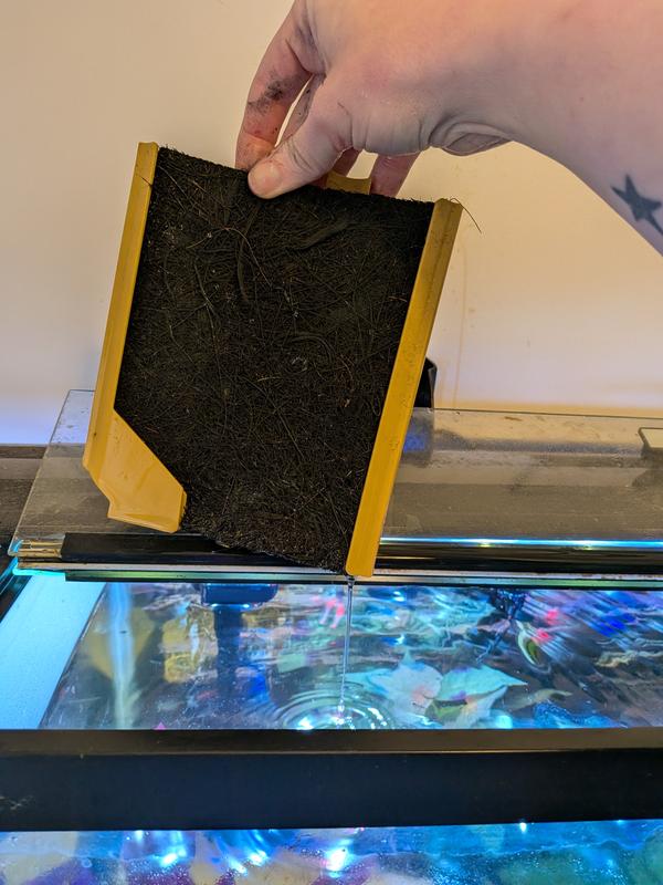 Large size for 30 gallon aquarium