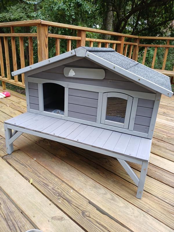 Ready for the kitties!