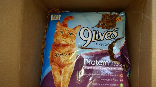 9 lives outlet protein plus