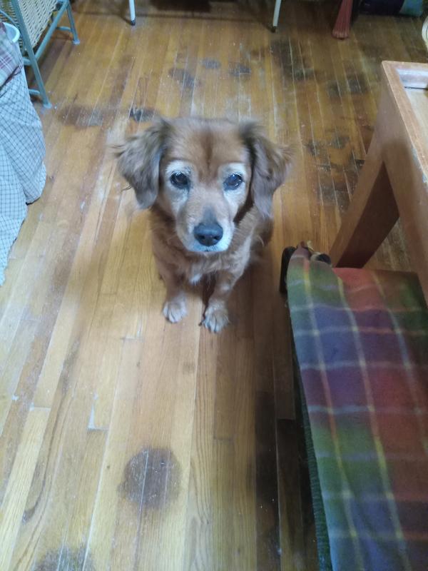 She's  a tiny but strong