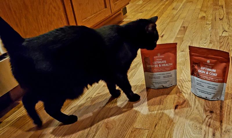 Inspecting the new product!