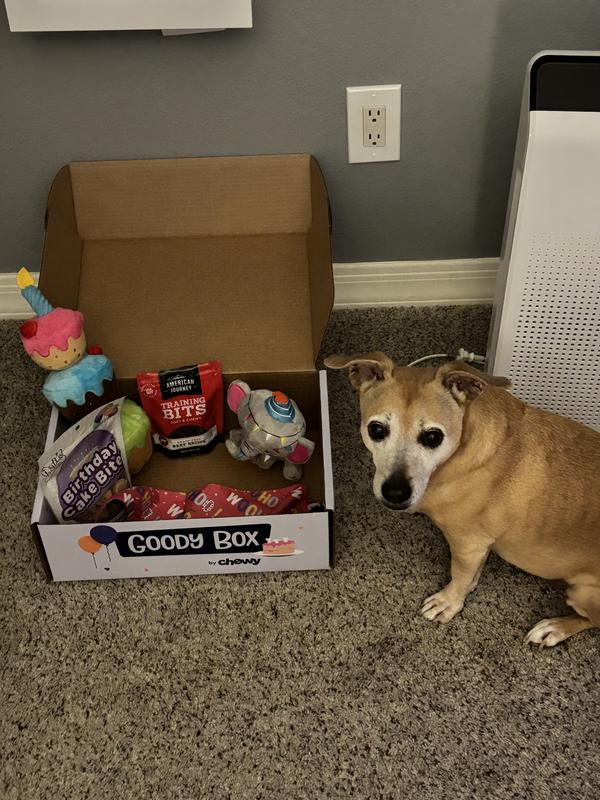 Discontinued GOODY BOX Birthday Toys Treats Bandana X Small Small Chewy