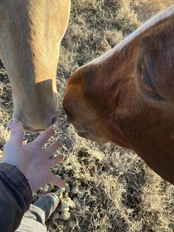 Curious and interested